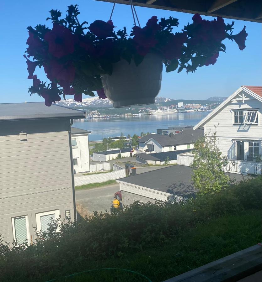 Polar Cozy Apartment - With View And Free Parking 特罗姆瑟 外观 照片